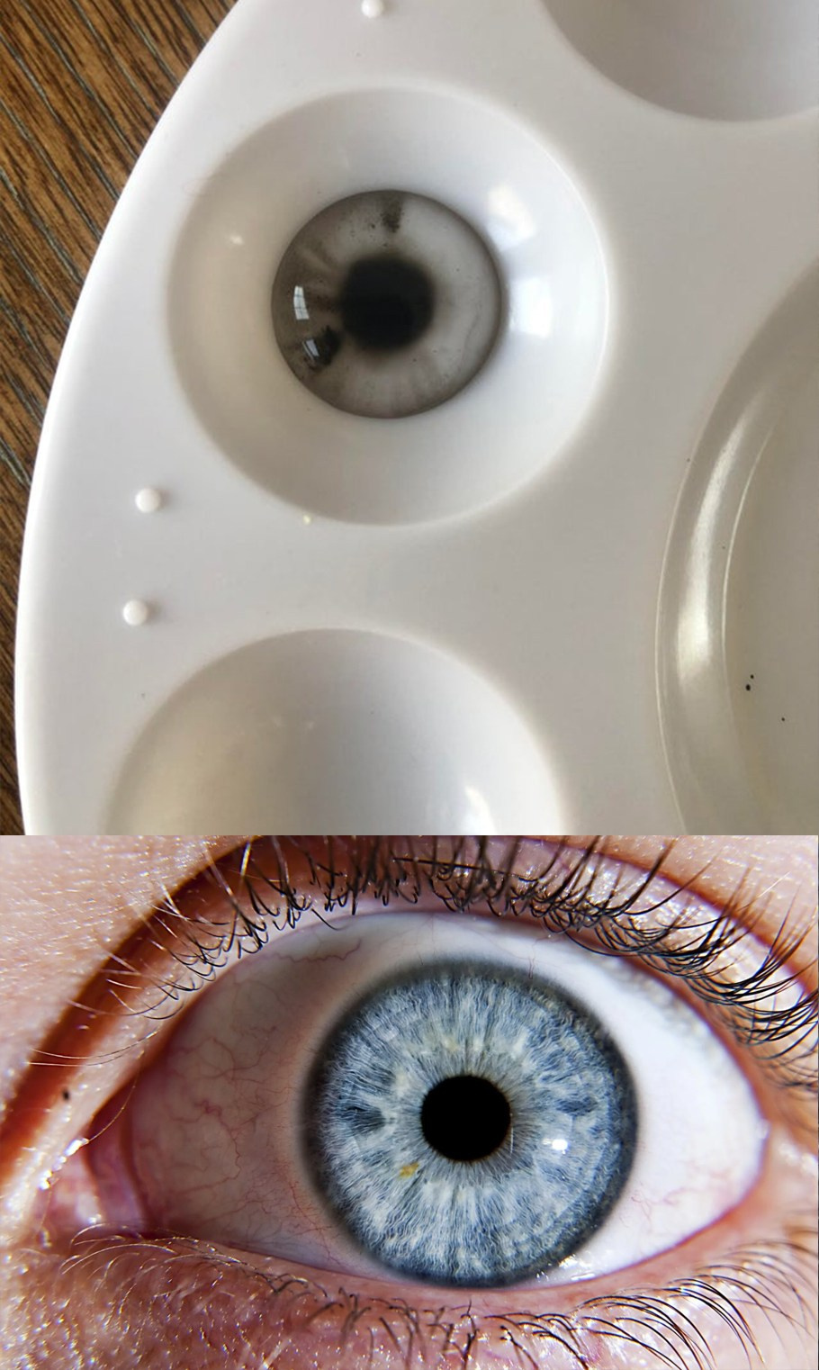 ПРОКАЧКА: Поиск парных фото