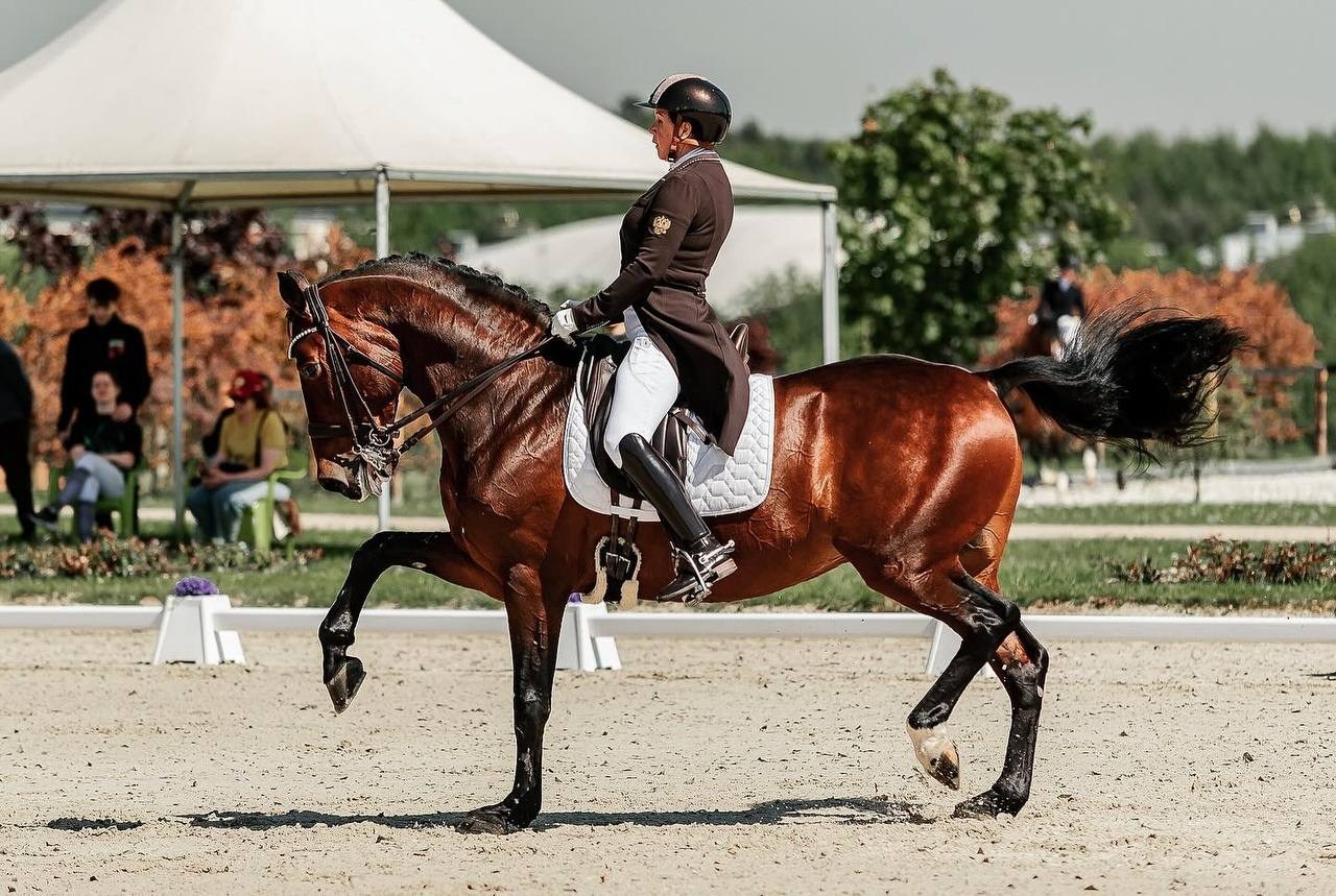 КСК «Новый Век» — XVIII ОТКРЫТЫЕ СОРЕВНОВАНИЯ ПО ВЫЕЗДКЕ «КОННЫЙ ФЕСТИВАЛЬ». Конный фотограф Куракина Дарья • Фотосессии с лошадьми