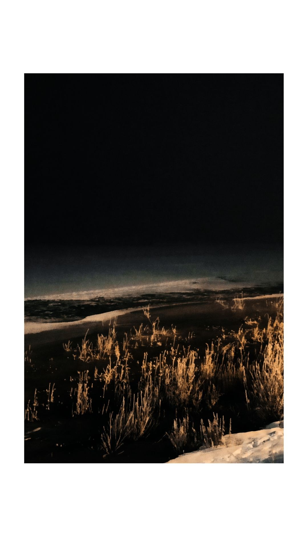 Зима по-сибирски. Главная