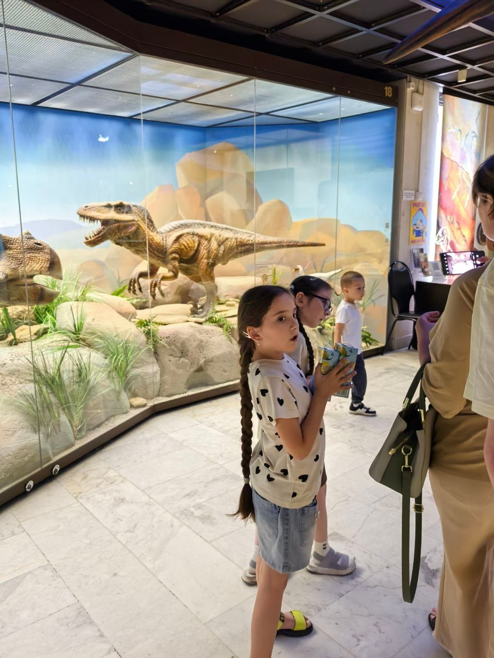 Дарвиновский музей г. Москва экологические приключения. АНО «Центра социальных проектов «Путь в большой мир»