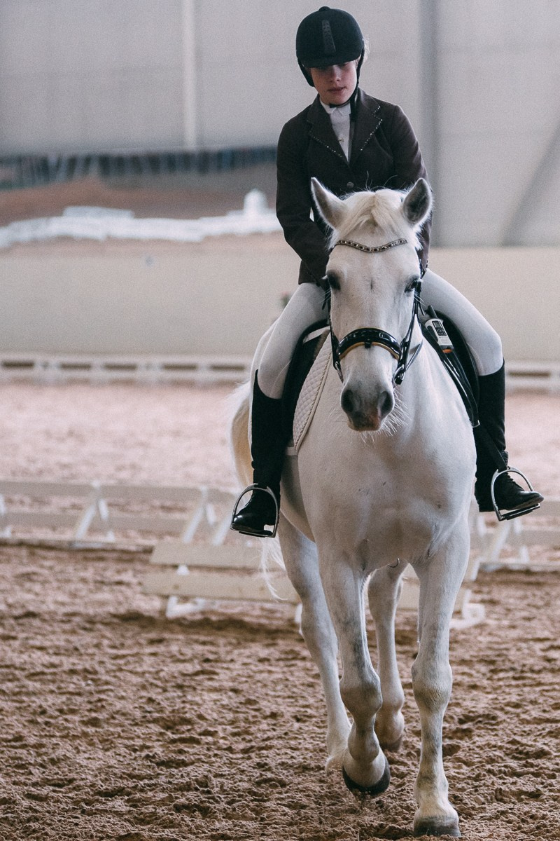 Выездка КСК «Дерби». Репортажный и семейный фотограф в Санкт-Петербурге Тарас Марченко