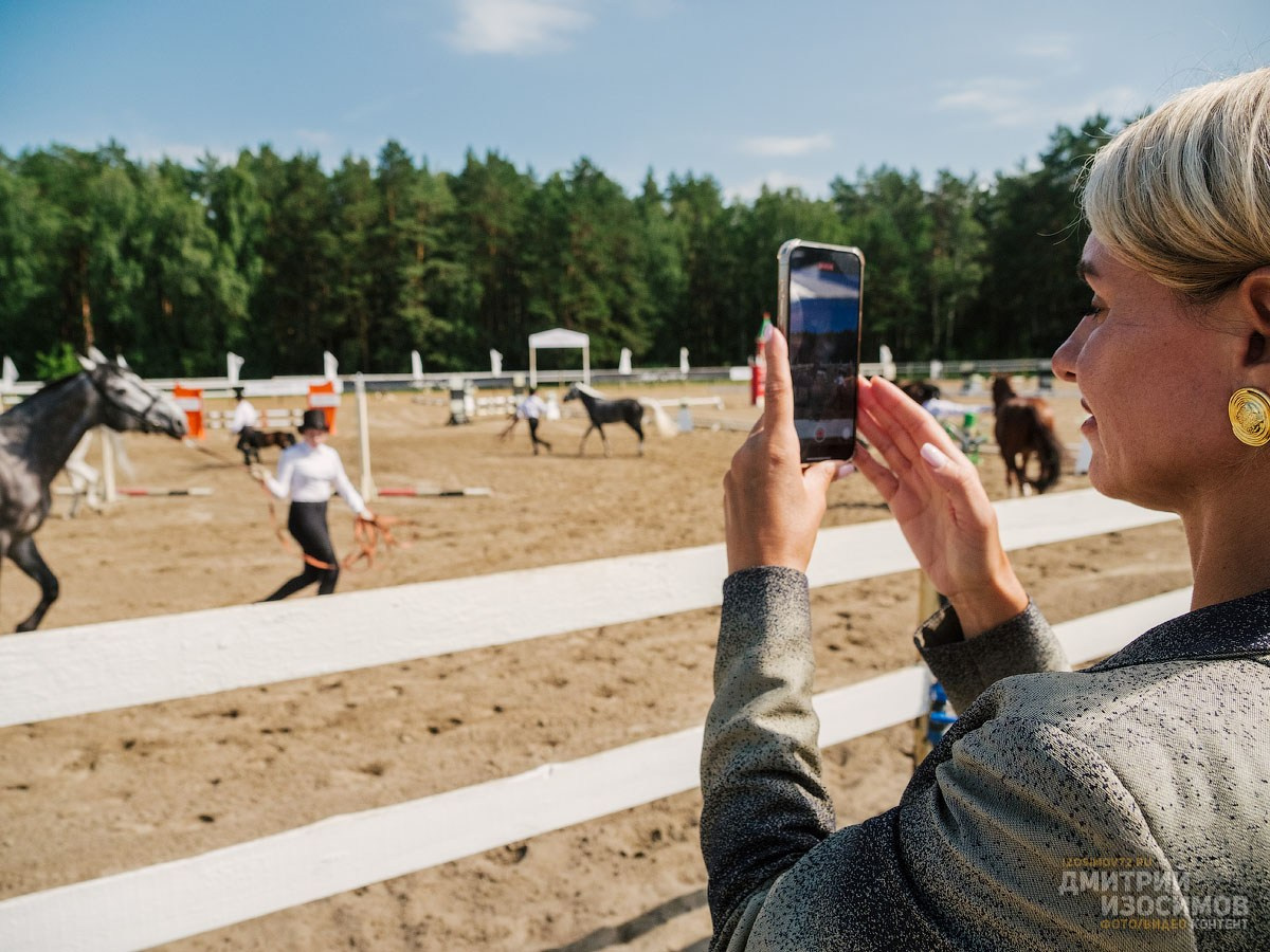 Скачки фаворитов 2024