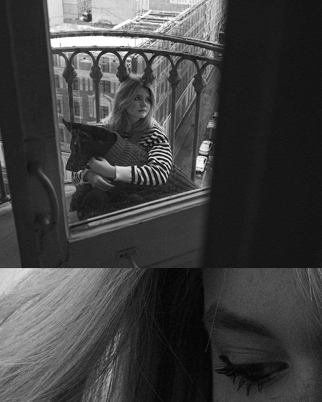 Саша и Асти. Фотограф анималист в Москве и Санкт-Петербурге Свиридова Анна