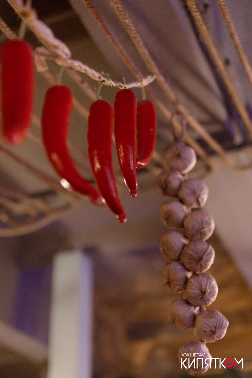 ТБИЛИСИ. КИПЯТКОМ КОКШЕТАУ