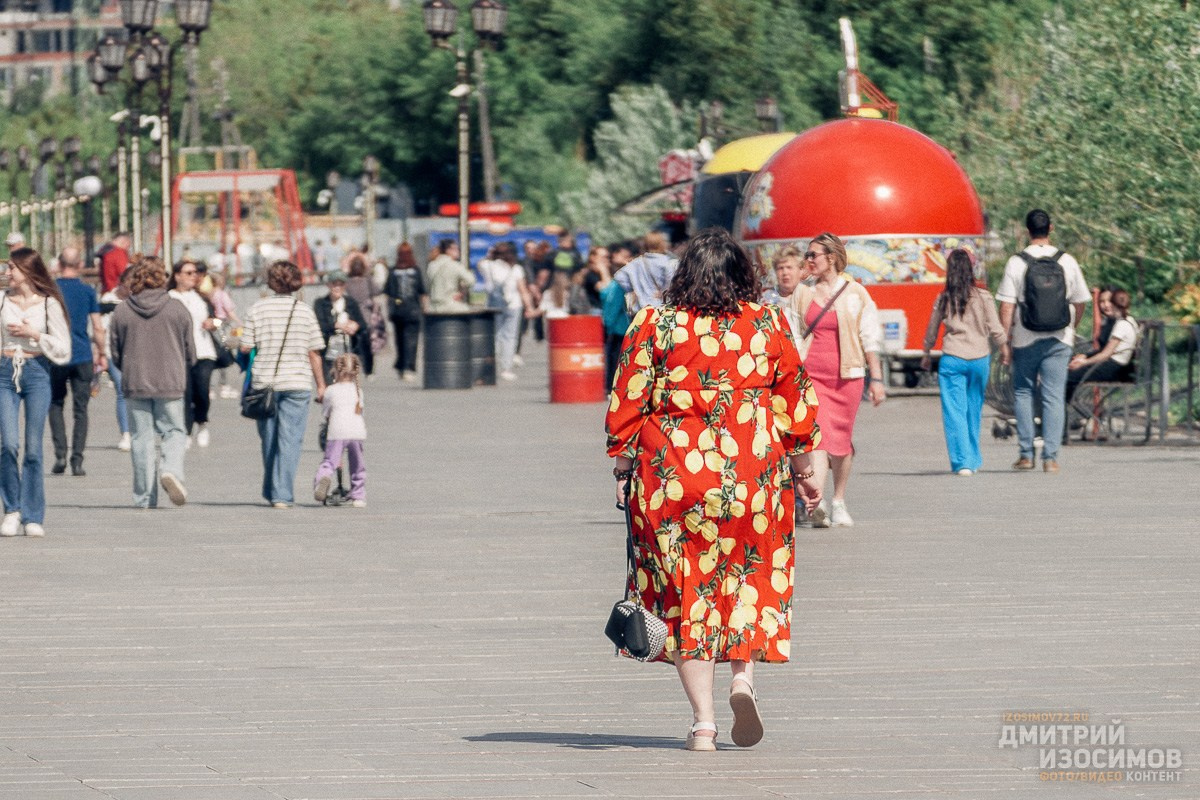 Лучшее из 2024