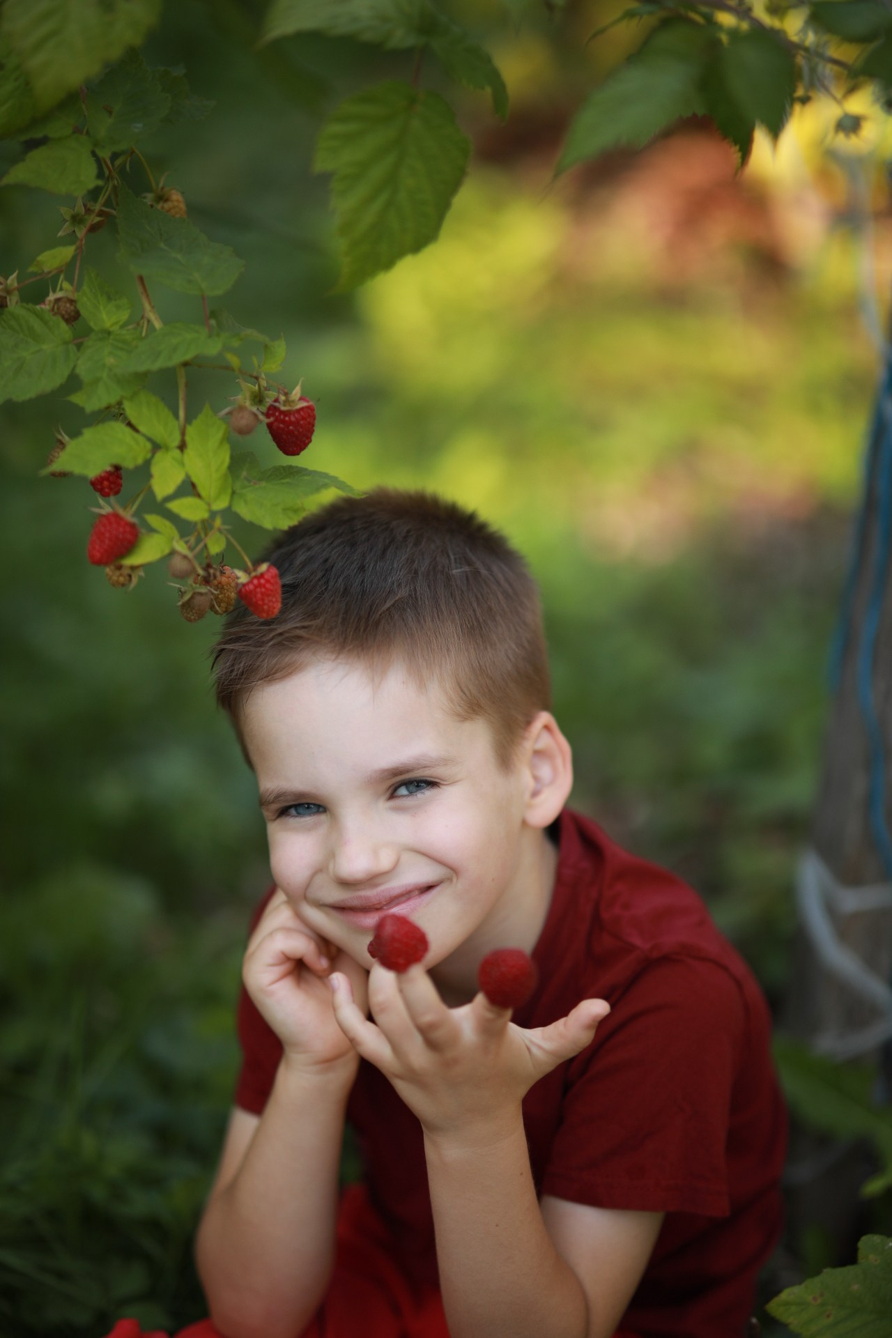 Ягода-малина. Фотограф Юлия Рязанова Москва семейный и детский