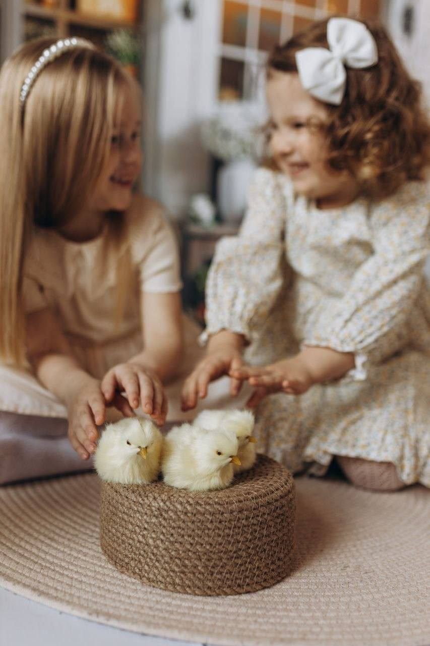 Мытищи. Пасхальная фотосессия. Фотостудия «Птичка» Мытищи,