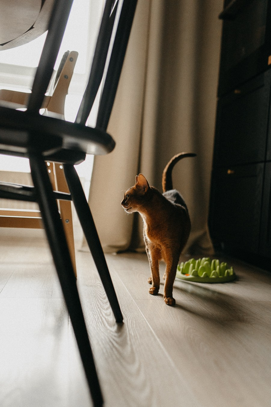 Костя, Яна, Кристина, Леон | дома