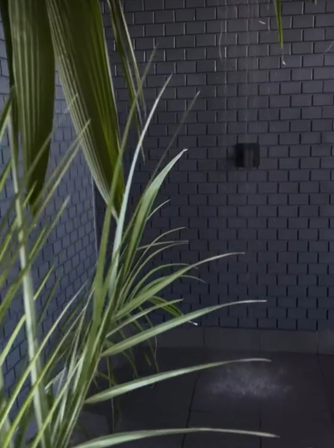 Студии. Детский и семейный фотограф в Хабаровске Светлана Тусикова