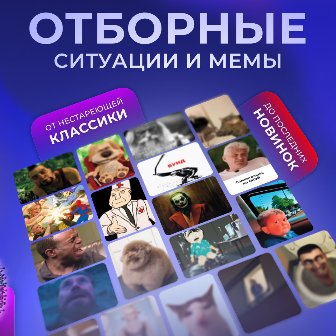 Дизайн настольной игры Мембокс и инфографики для маркетплейсов. Маркетолог в Москве, специалист по коммуникациям и рекламе Аня Смоляга