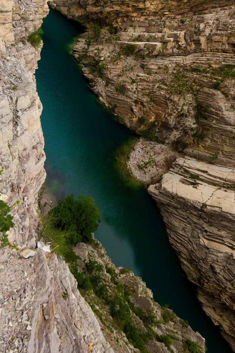 Главрыба. Photomantis