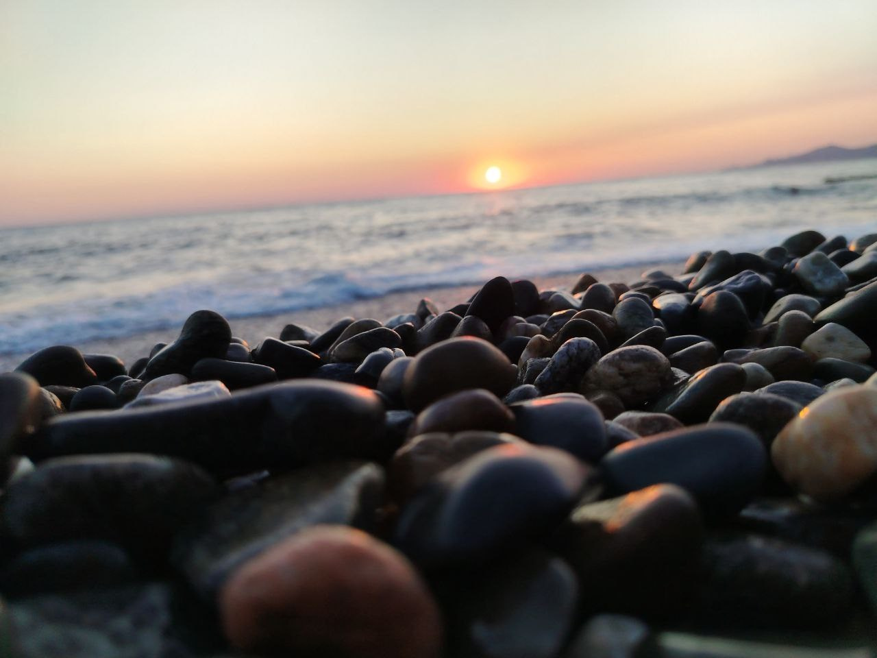 Лето, ах лето. Фотокружок «Видоискатель» ГБОУ СОШ № 291