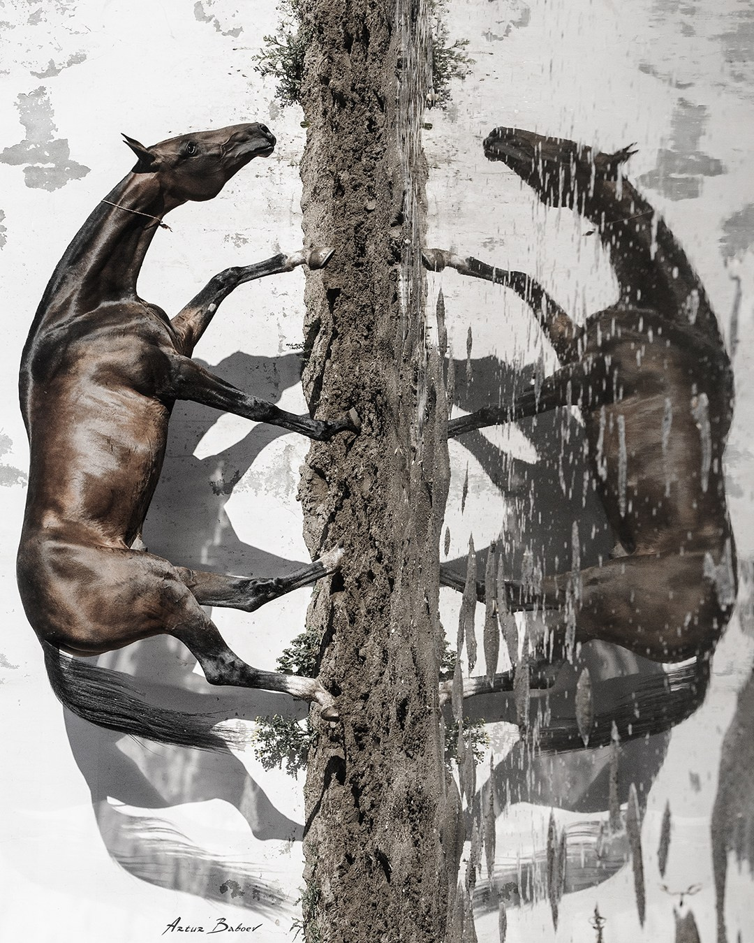 Gallery. Art photos of horses — ARTUR BABOEV | Photographer