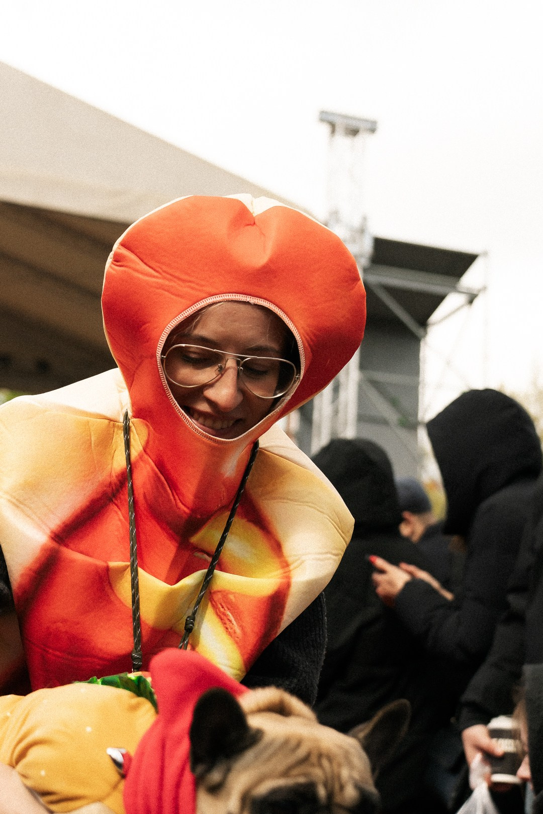 Парад Бульдогов. Axenov_eugene