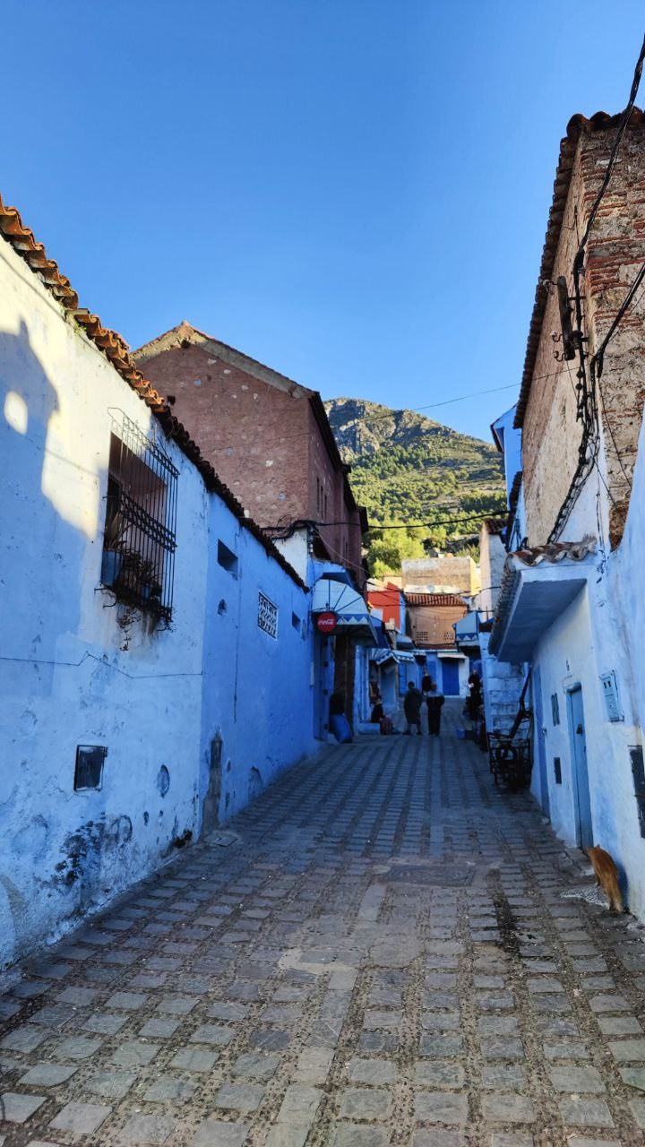 Марокко. Кибернетика и гармония