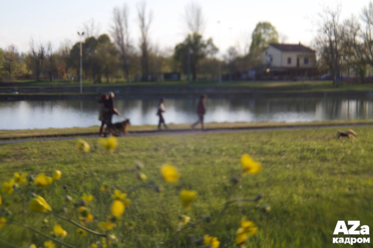 AZакадром «Фотофанты». Женский семейный фотограф Тула Москва Захарова Анна