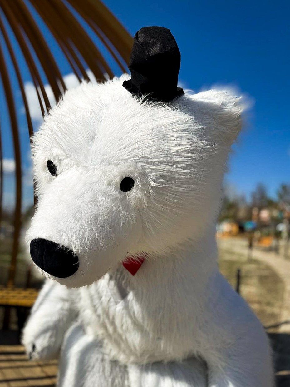 Эксперсс поздравление.ростовые куклы, медведь, панда, горилла. Организатор праздников. Ведущая Марина Гребенникова