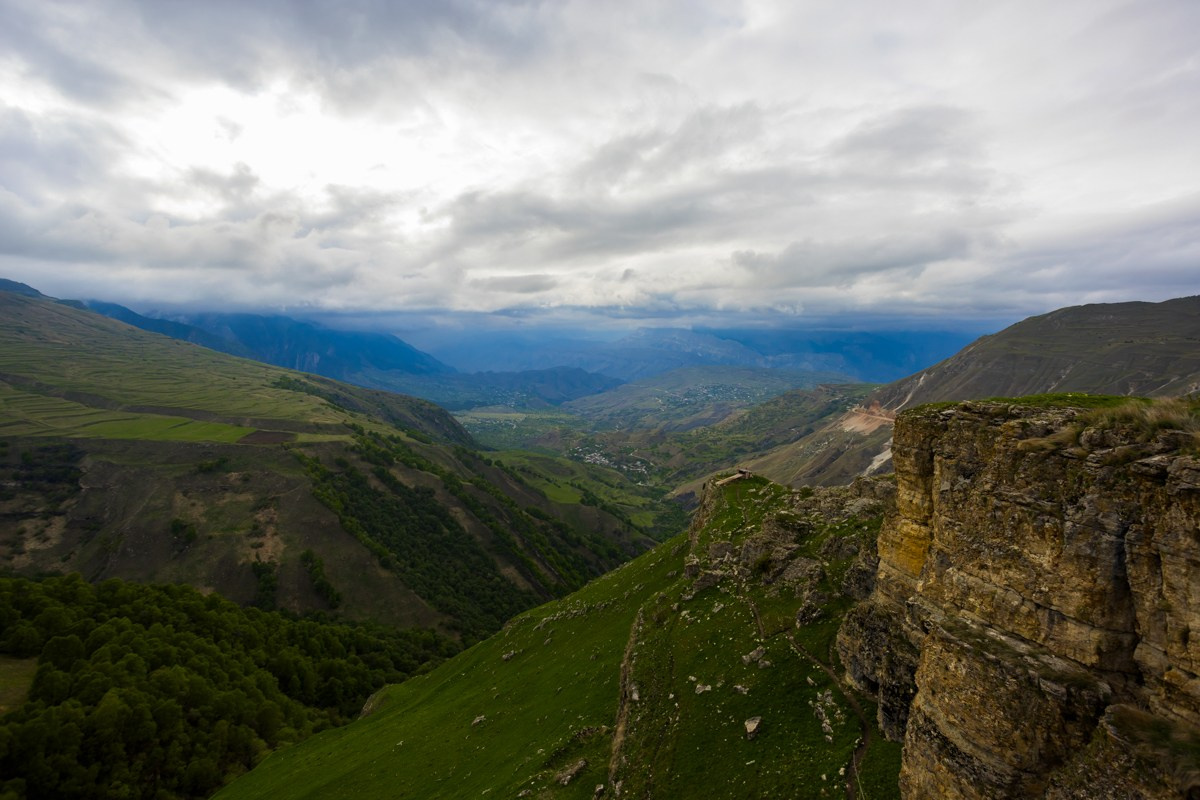 Каменная чаша. Photomantis