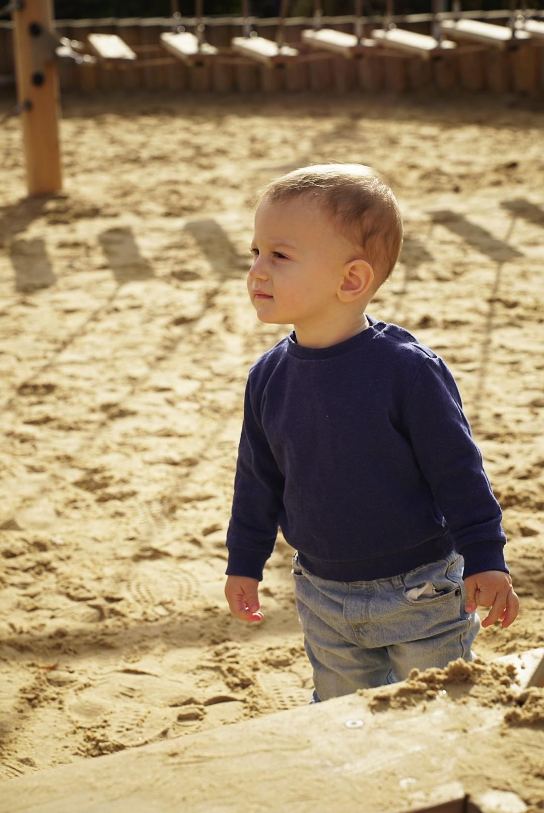 Прогулка Осень. Фото / Видеосъемка в Москве