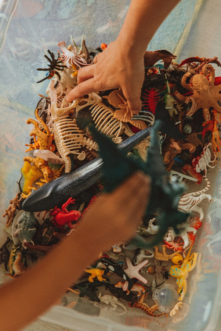 ALICE & SOFI. Портретный и Семейный фотограф в Санкт-Петербурге Rocket Alice