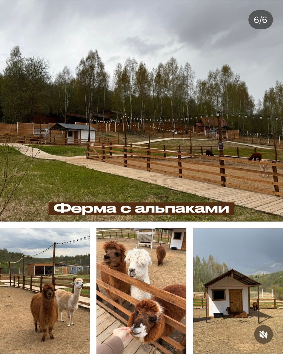 Природные. Фотограф Светлана Мерзлякова