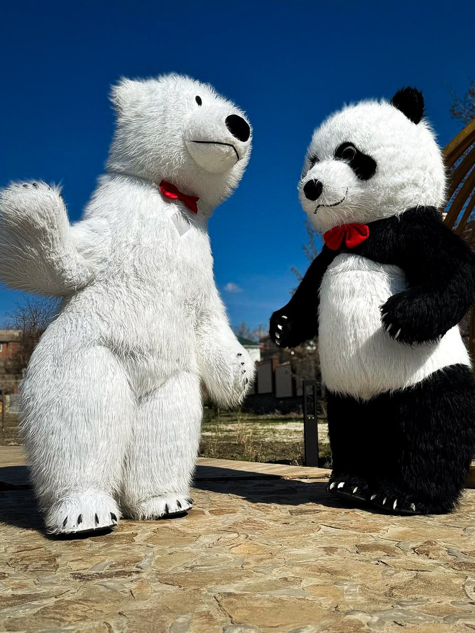 Эксперсс поздравление.ростовые куклы, медведь, панда, горилла. Организатор праздников. Ведущая Марина Гребенникова