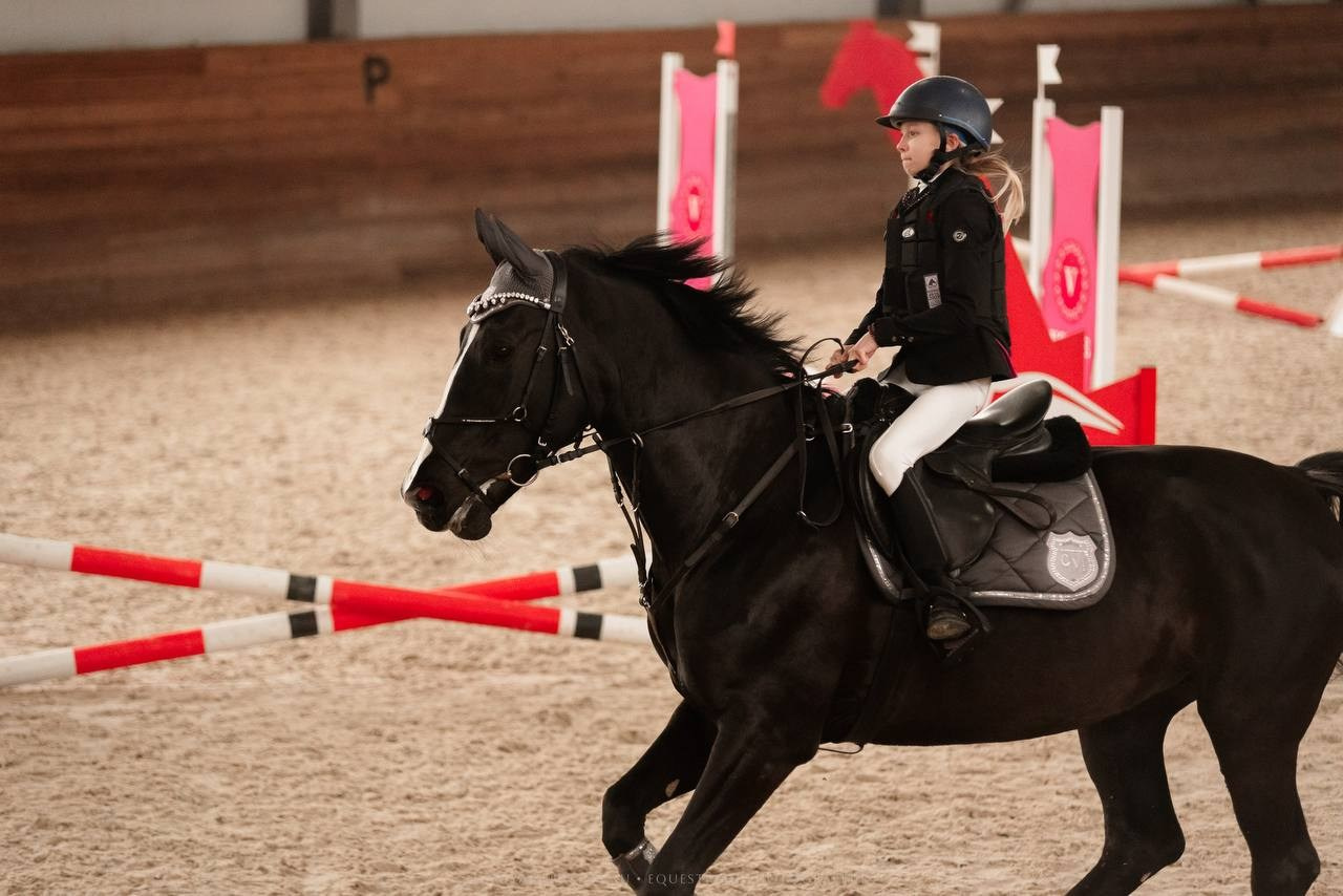 ВЕСЕННИЙ КУБОК МКК «ВОЛЬТ» ПО КОНКУРУ. Конный фотограф Куракина Дарья • Фотосессии с лошадьми