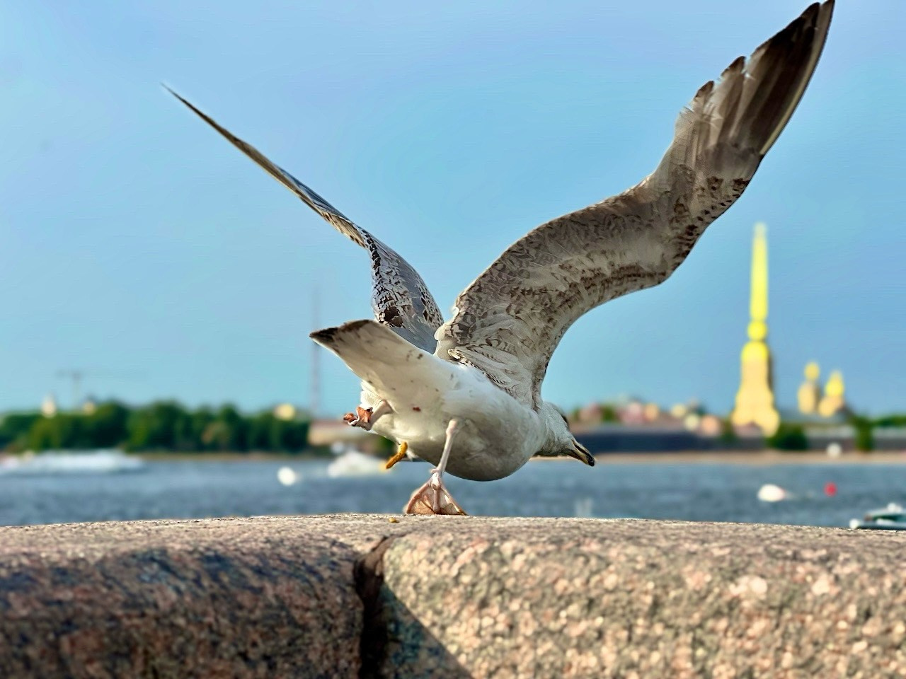 Снято на телефон. Фотография, ретушь, сканирование, восстановление старых фото, интерьерная съёмка, студия. Данилов Александр, Москва