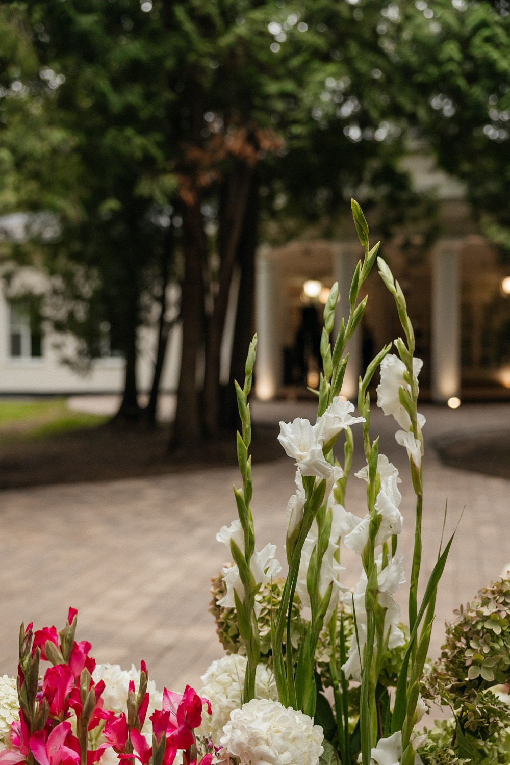 Timeless. Свадебный фотограф Москва