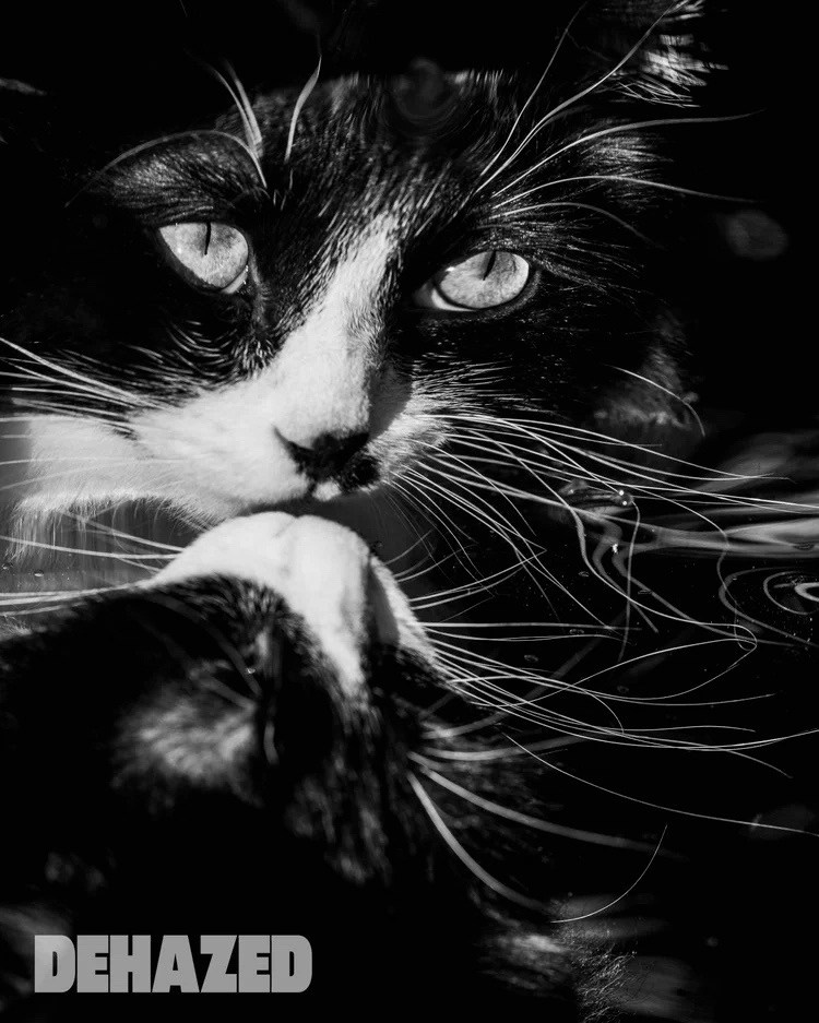 DEHAZED. Фотографии Лены Соколовой