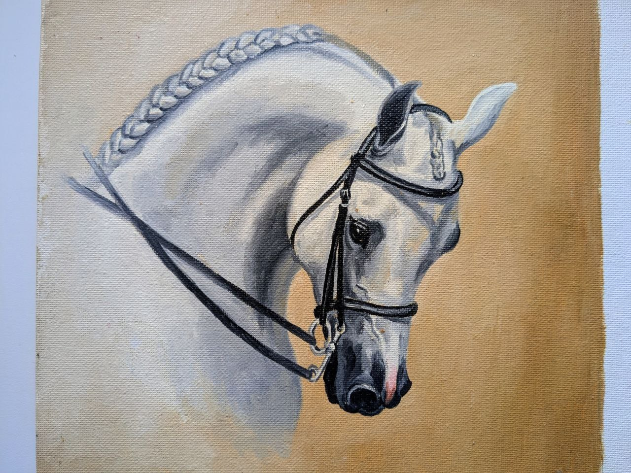 Лошади. Художник-анималист в Нижнем Новгороде Надежда Шапошникова