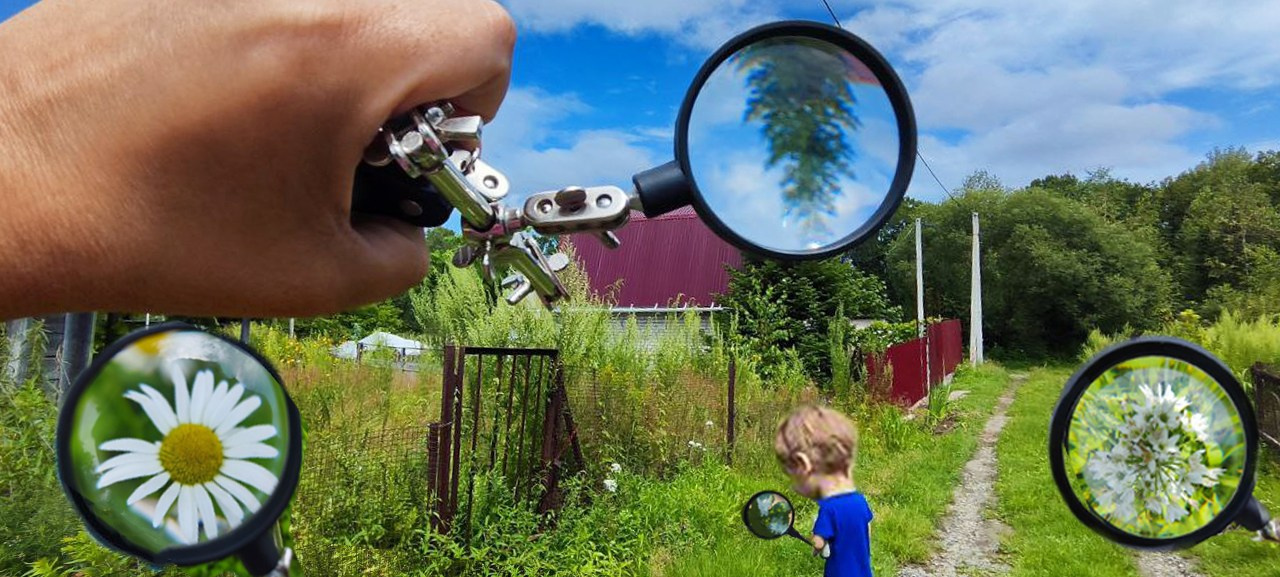 цветы, коллаж, фотография, глаза, фотограф, art, photographer, collage, artist, nft, china, Хабаровск