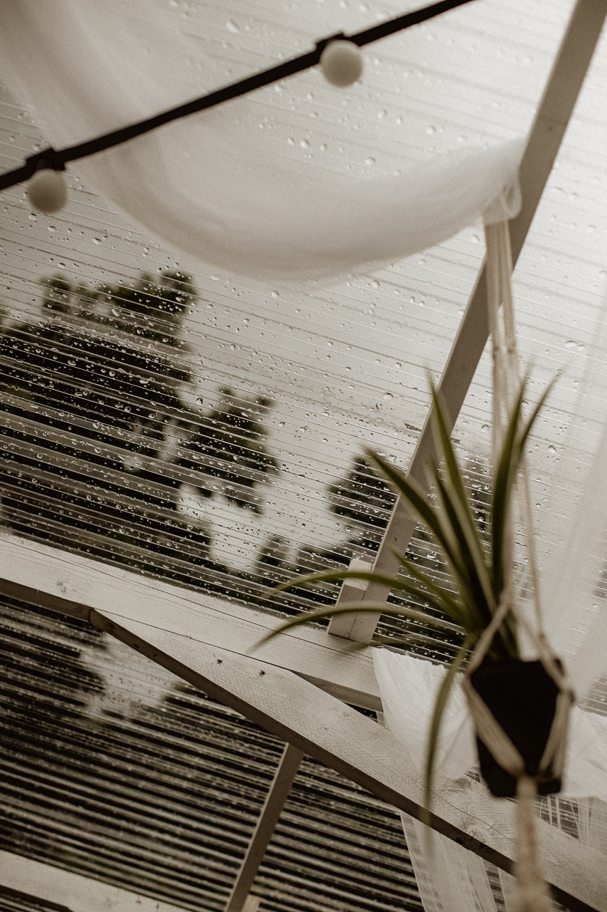 Сад любви. Фотограф в Краснодаре и Краснодарском Крае