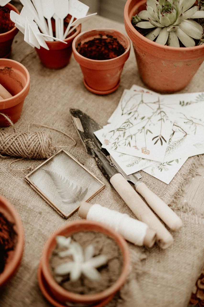 Сад любви. Фотограф в Краснодаре и Краснодарском Крае