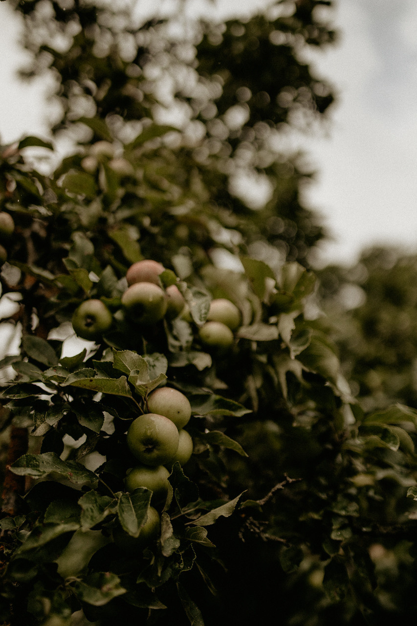 Сад любви. Фотограф в Краснодаре и Краснодарском Крае