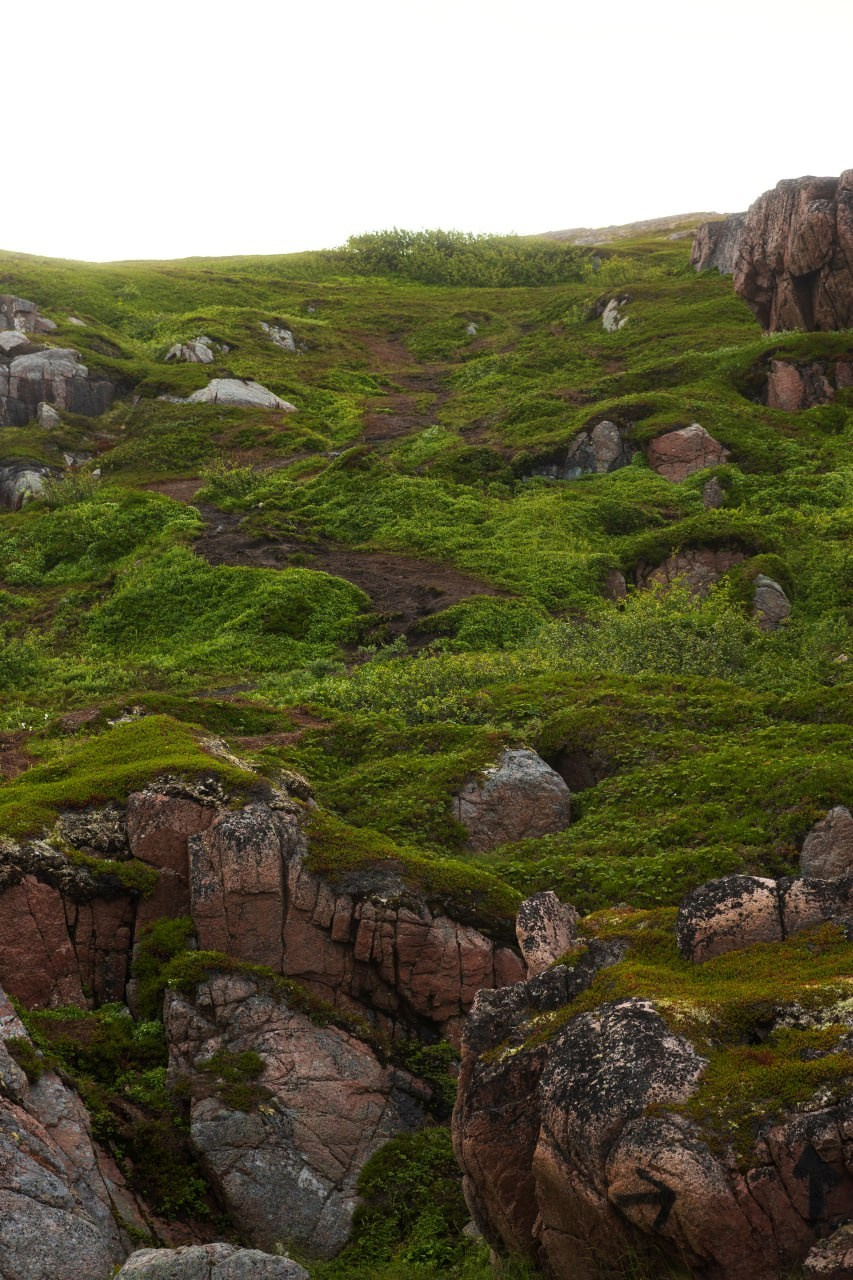 Териберка 2025. Фотограф Михаил Олейник