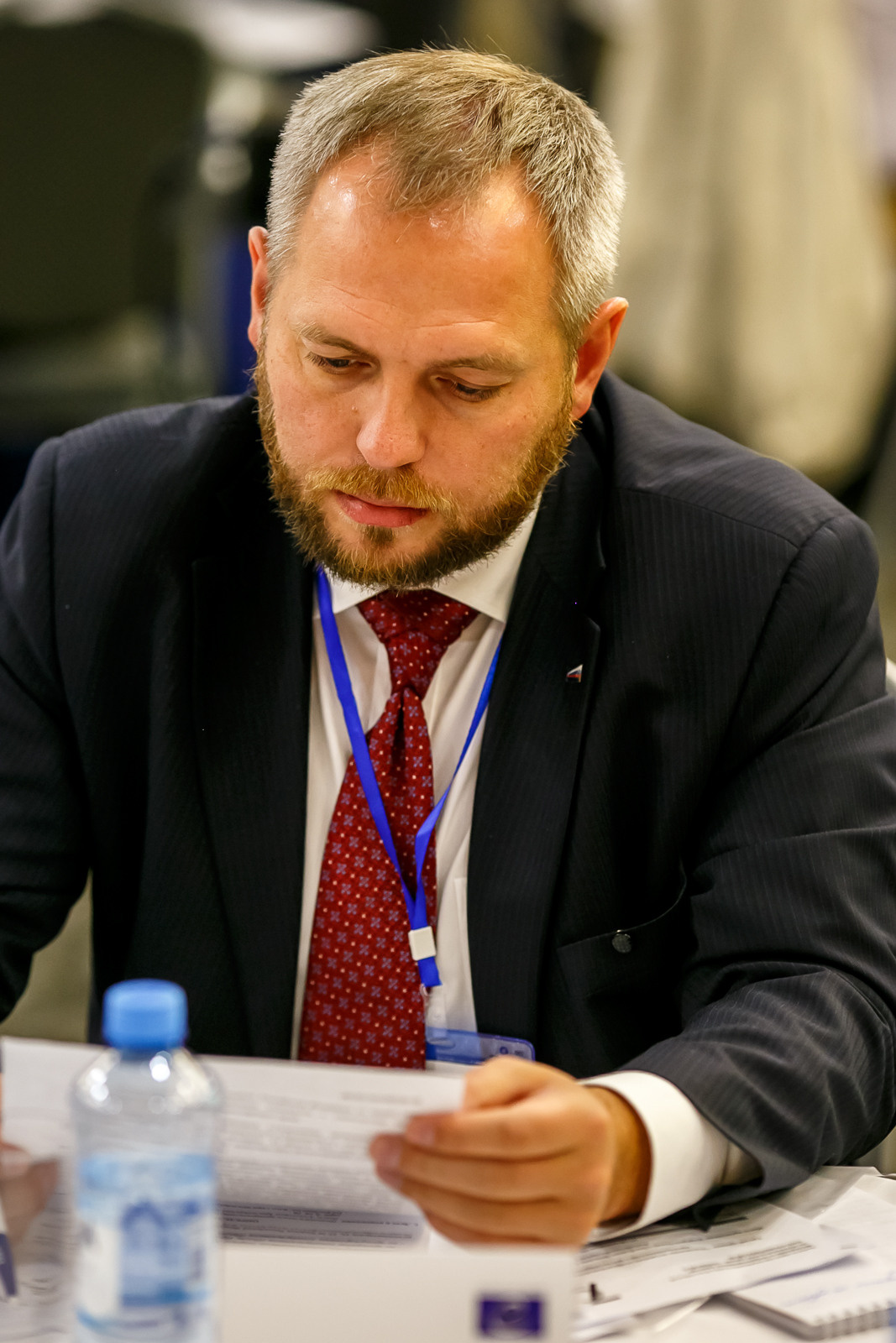 Конференция Совет Европы г. Ростов-на-Дону. Свадебное фото и видео в Ростове-на-Дону, Краснодаре, Москве и Крыму