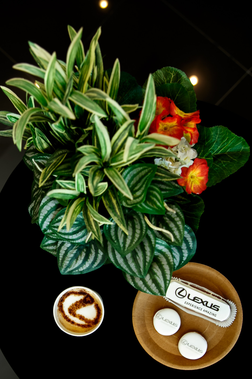 «Lexus». Свадебное фото и видео в Ростове-на-Дону, Краснодаре, Москве и Крыму