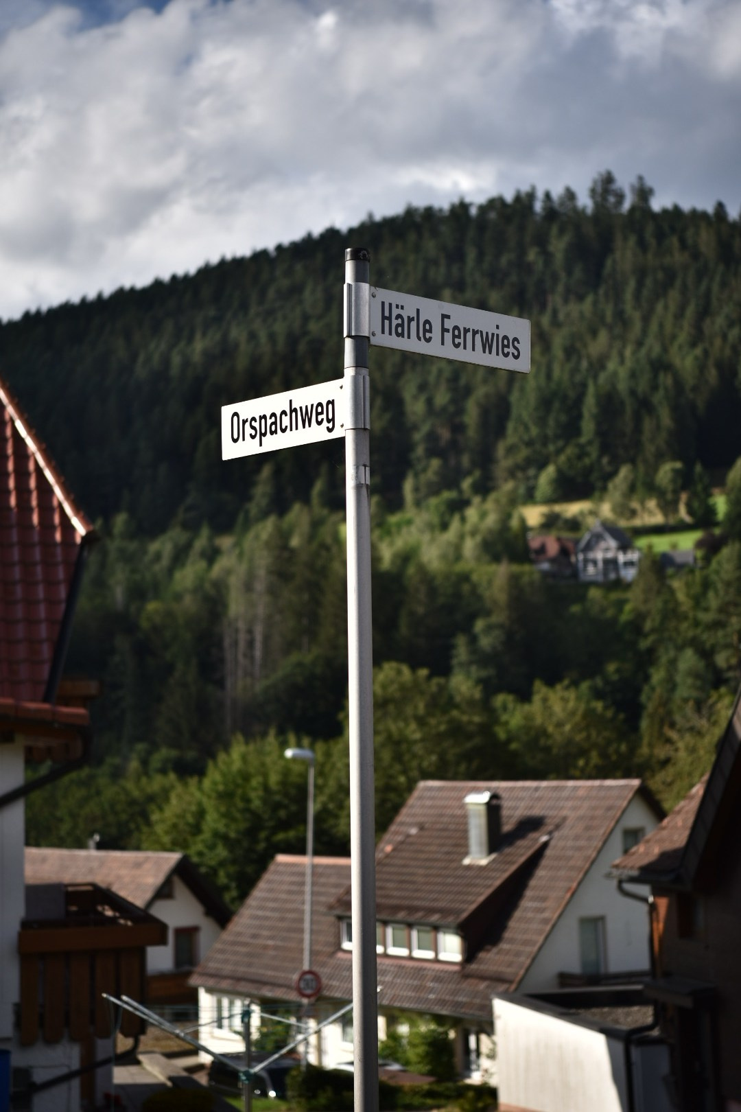 Baiersbronn. Фотограф Милена Яновска