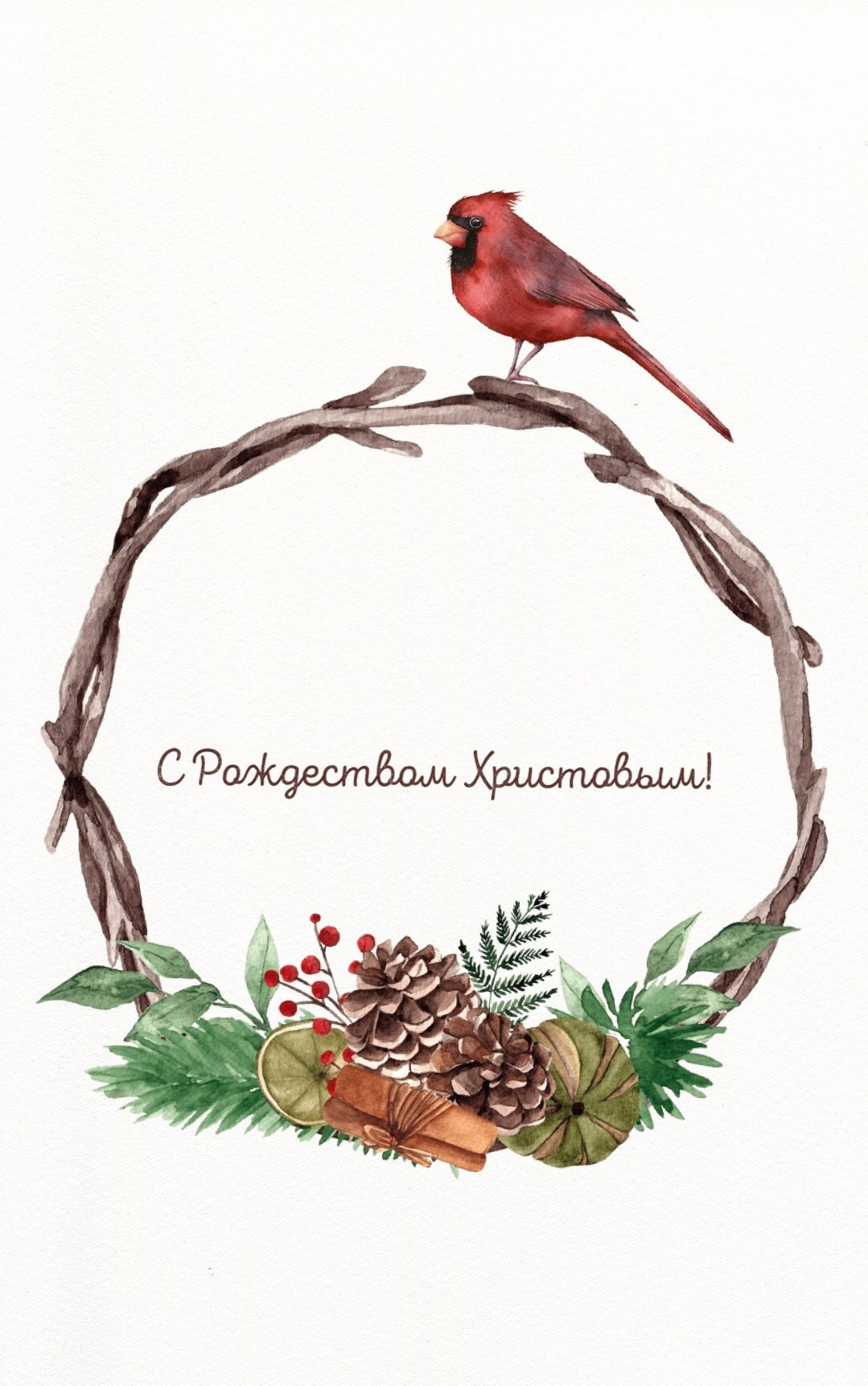 Семейный детский фотограф в Калининграде Анна Каратай