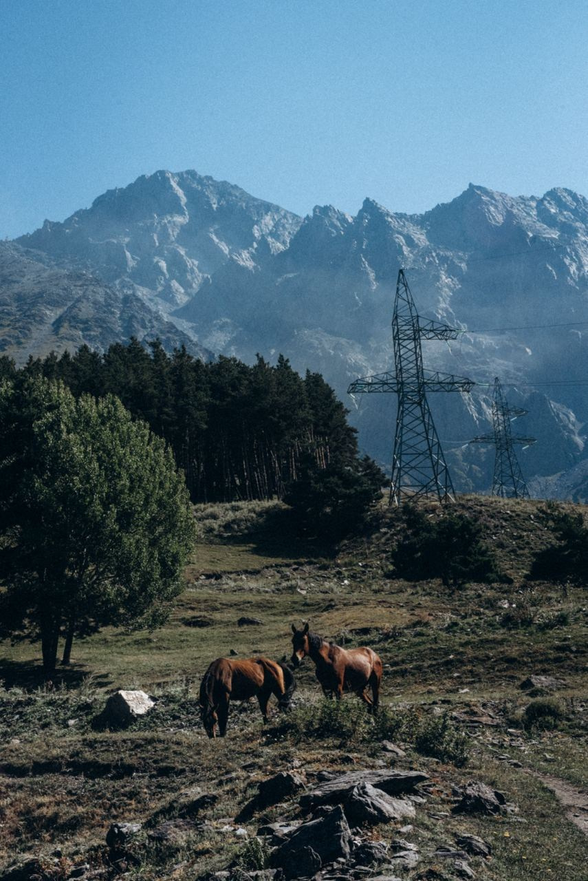 Ломиси, Гудаури — Арка Народов Мира, Грузия 🇬🇪. Anita_photo