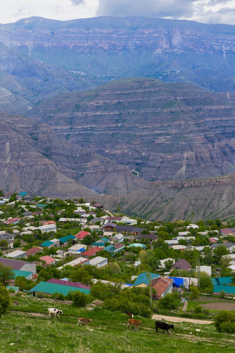 Язык Тролля. Photomantis