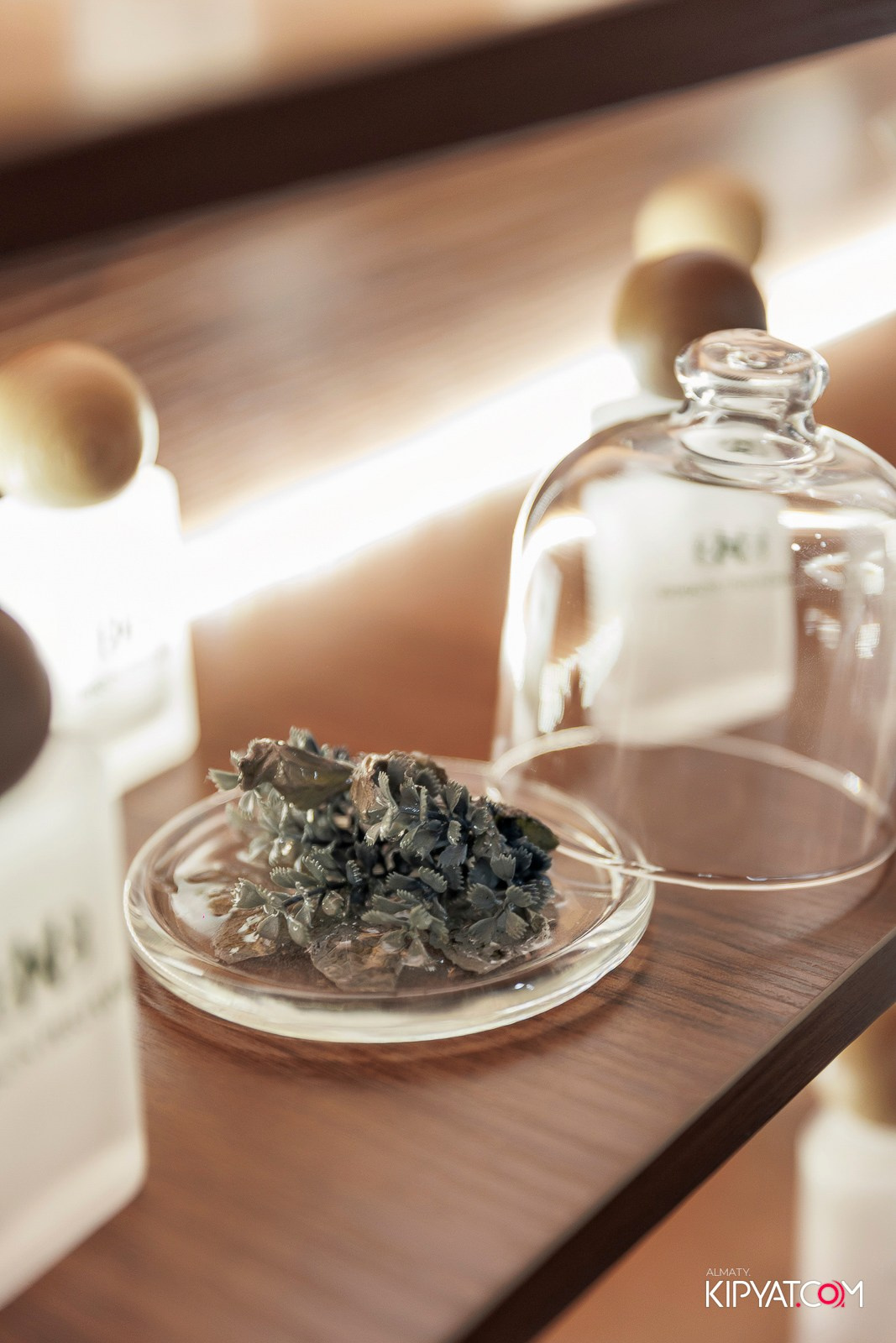 ОТКРЫТИЕ ПАРФЮМЕРНОГО ДОМА MAISON PERFUME. КИПЯТКОМ АЛМАТЫ!