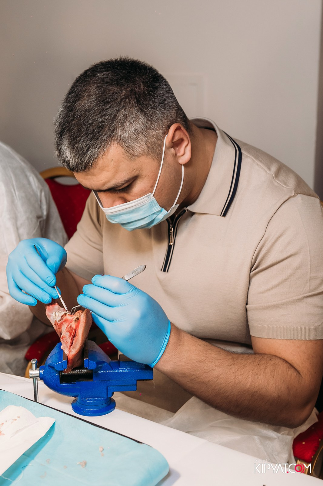 КУРС ДЛЯ СТОМАТОЛОГОВ ОСЛОЖНЕНИЯ В ХИРУРГИЧЕСКОЙ ПРАКТИКЕ КТО ВИНОВАТ И ЧТО ДЕЛАТЬ. КИПЯТКОМ АЛМАТЫ!