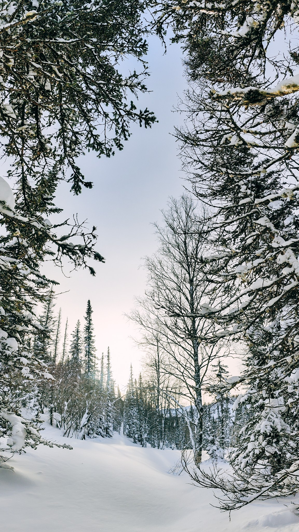 Приисковое. Человек с фотокамерой