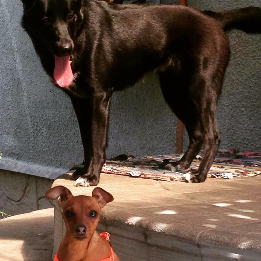 Bashnin instagramm. Заставка