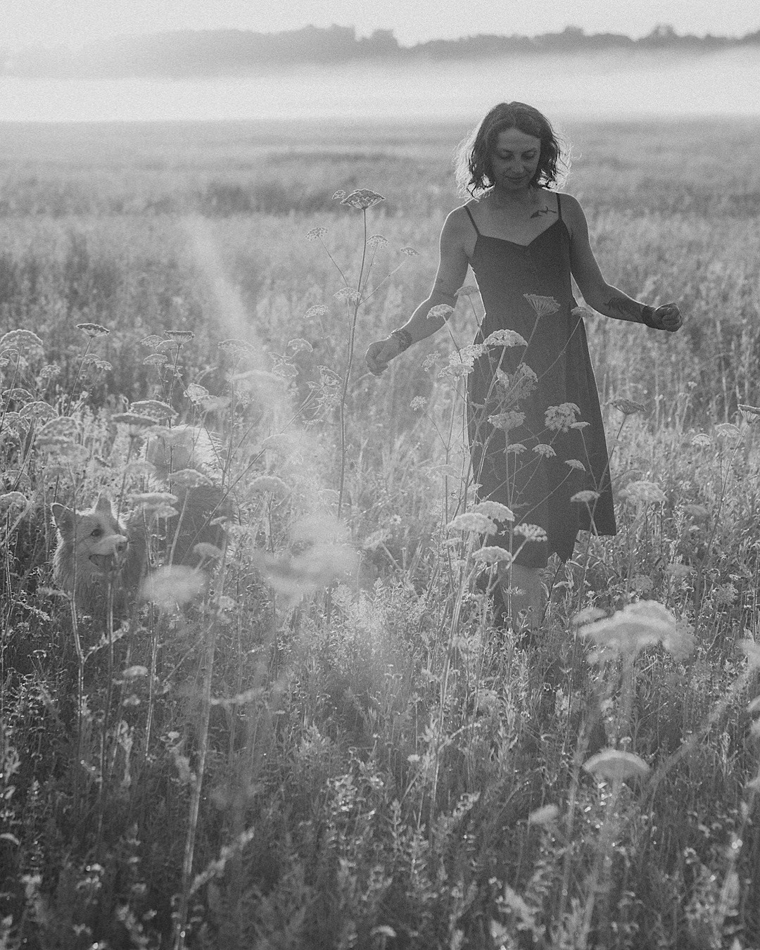 Рина и Марси. Фотограф анималист в Москве и Санкт-Петербурге Свиридова Анна