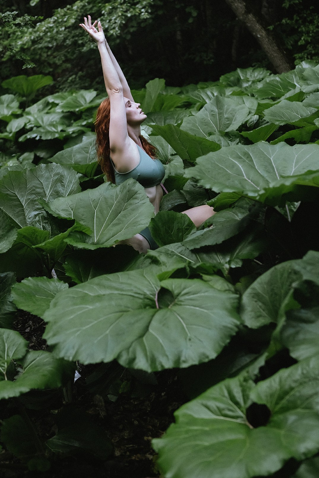 Оля портреты. Семен Соколов