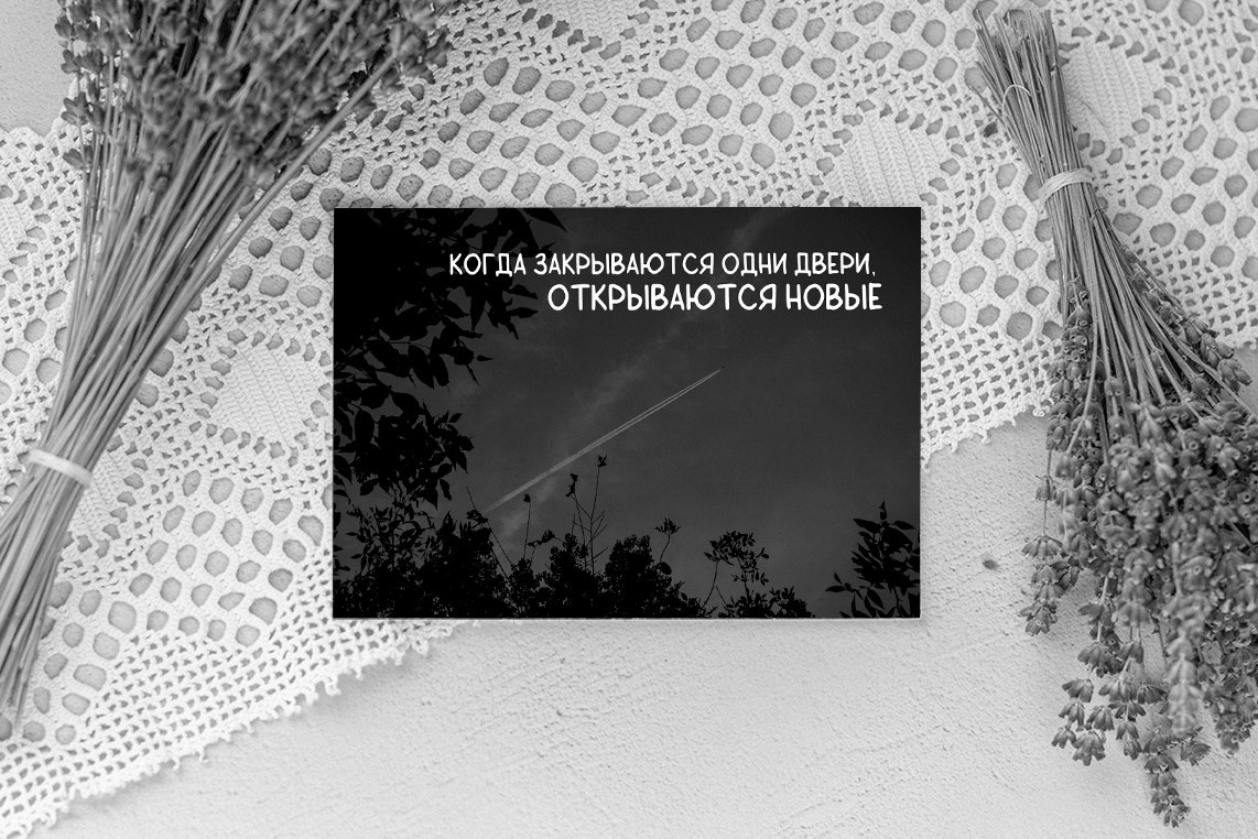 Фотограф в Ярославле — Ксения Мизгирева