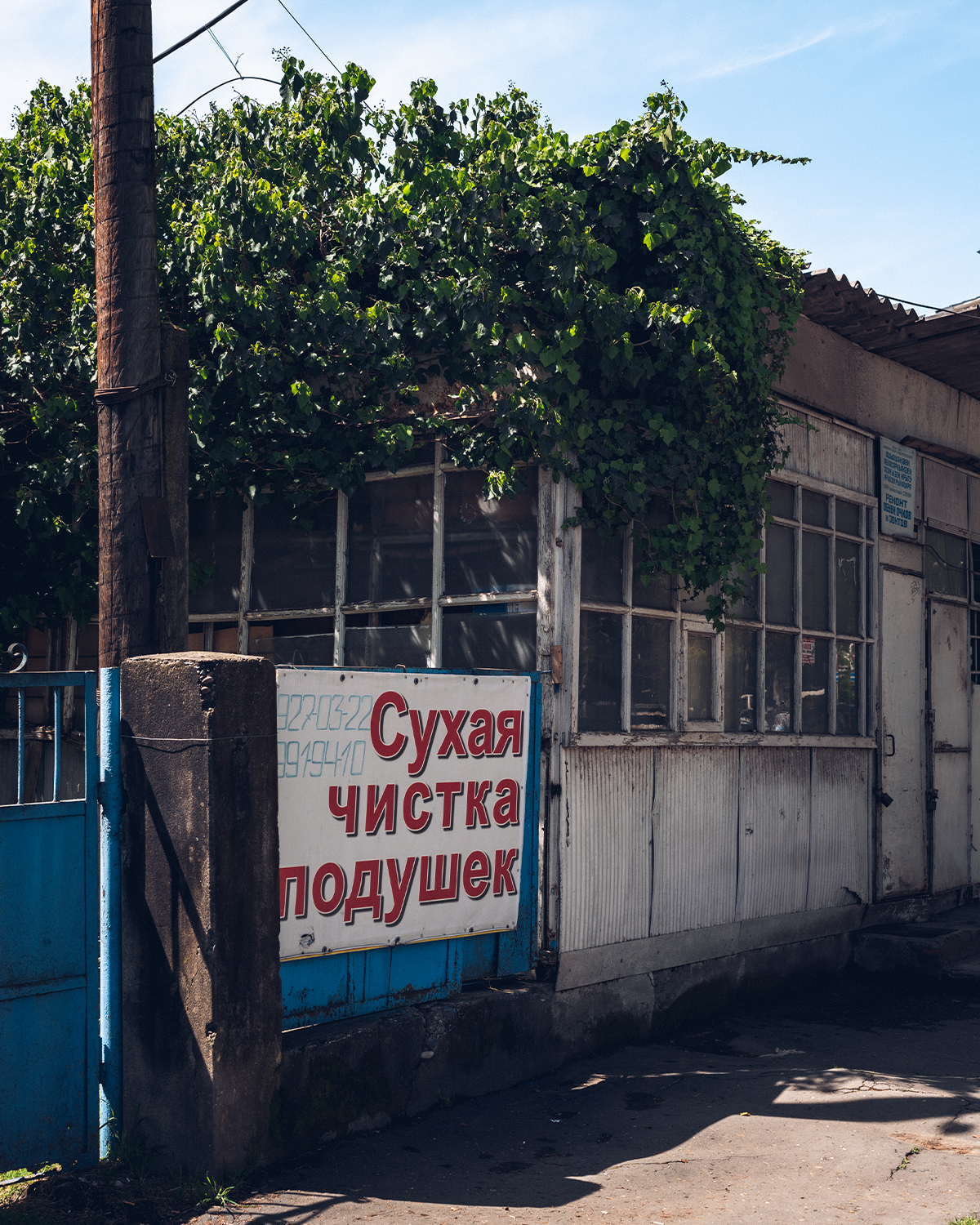 Абхазия в объективе: путешествие рекламного фотографа из Гуанчжоу. Коммерческий и предметный фотограф в Гуанчжоу Коваленко Александр